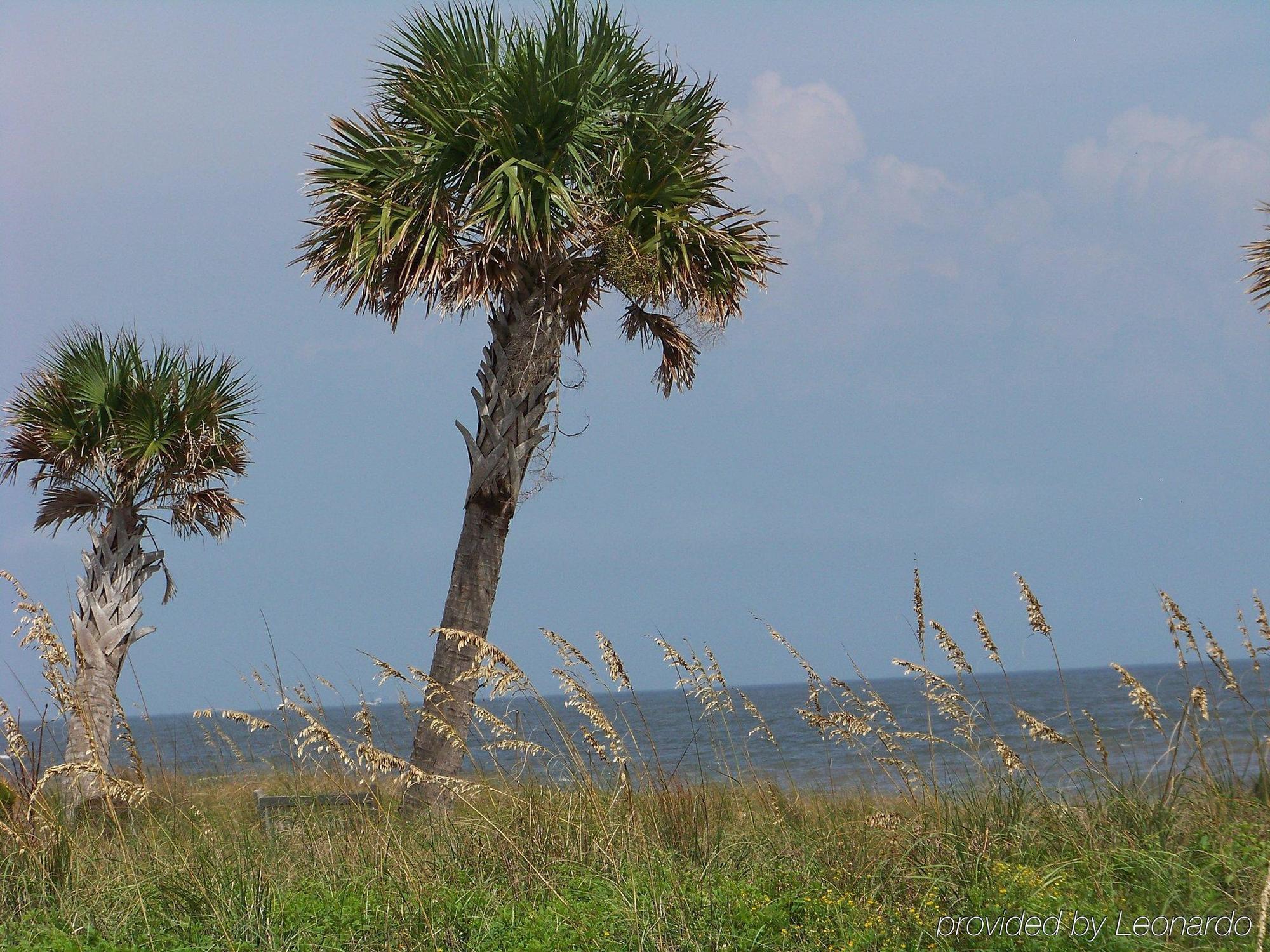 Holiday Inn Express Saint Simons Island By Ihg St. Simons Island Zewnętrze zdjęcie